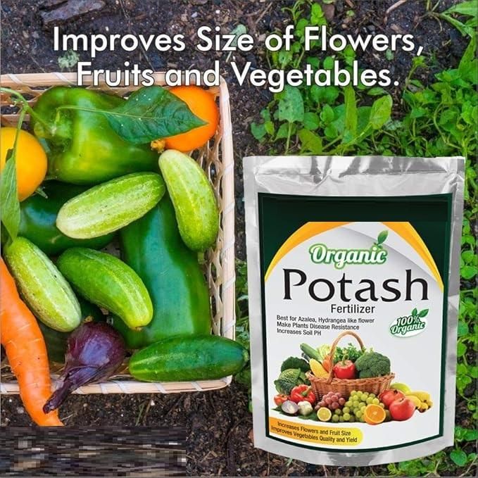 Organic Potash Fertilizer 350gm